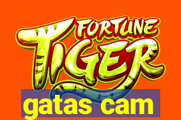 gatas cam